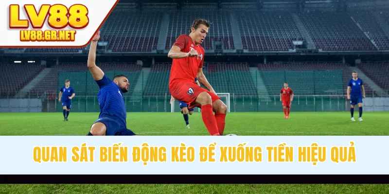 Quan sát biến động kèo để xuống tiền hiệu quả