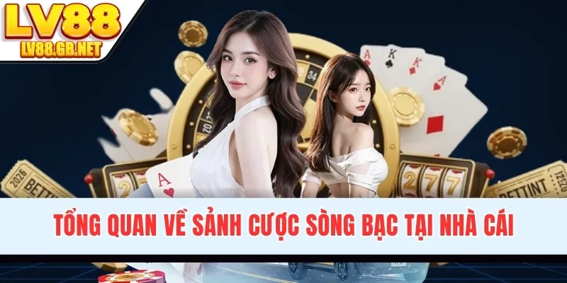 Tổng quan về sảnh cược sòng bạc tại nhà cái